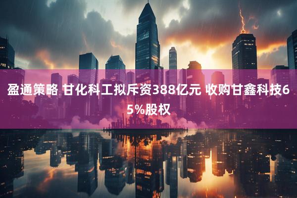 盈通策略 甘化科工拟斥资388亿元 收购甘鑫科技65%股权