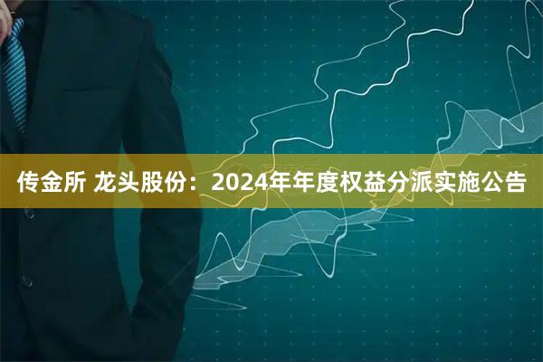 传金所 龙头股份：2024年年度权益分派实施公告